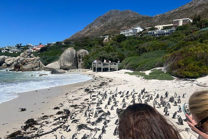 Full-Day Cape of Good Hope and Table Mountain with Penguins Tour - Cape of Good Hope: the corner-of-Africa feeling (with walking options)