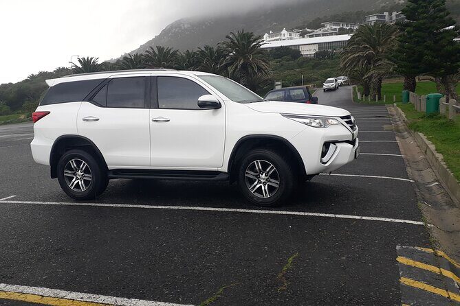 Full Day Cape of Good Hope & Boulder's Beach Penguin Private Tour - Cape Point Ostrich Farm: A Short Stop With an Action Bit