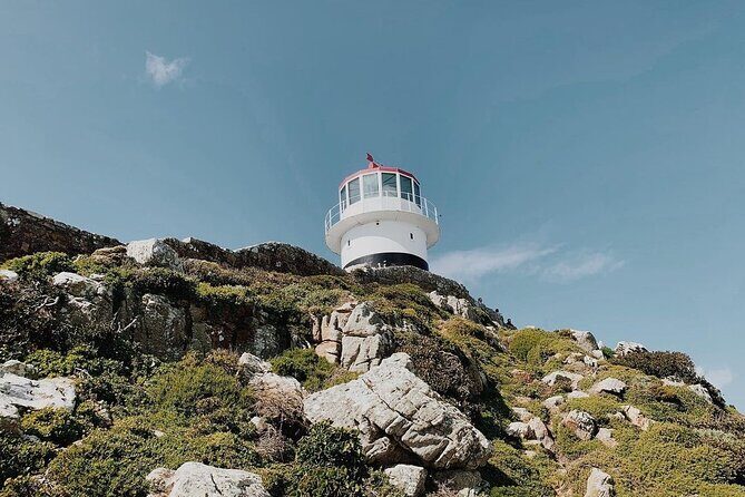 Full Day Cape of Good Hope-Cape Point Group Tour from Cape Town - Hotel Pickup, Small-Group Comfort, and the Morning Flow
