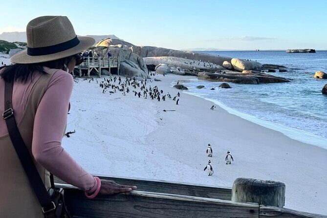 Full Day Cape Peninsula, Bo Kaap & Penguins Small Group Tour - Boulders Beach Penguin Colony: Boardwalk Viewing That Feels Real