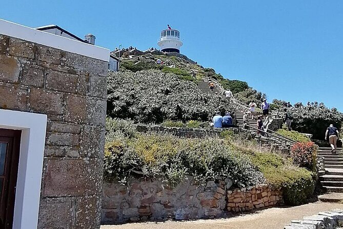 Full Day Cape Peninsula, Cape Point Tour - Starting in Hout Bay Harbour: your Seal Island option