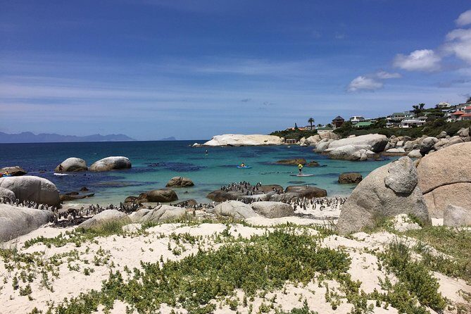 Full Day Cape Peninsula Motorcycle Tour on a Royal Enfield - Boulders Beach penguins: up-close, no rush