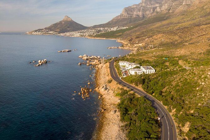 Full Day Cape Peninsula Motorcycle Tour on a Royal Enfield - Constantia return and the wildlife-on-the-road reality