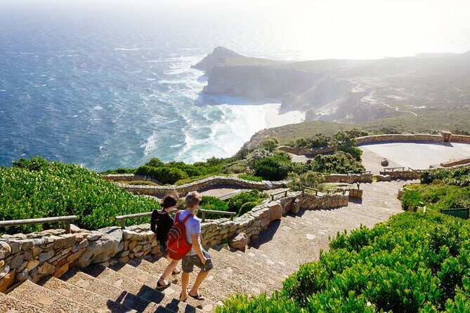 Full Day Cape Peninsula Tour - Pickup, Vehicle, and Guide: How the Day Runs