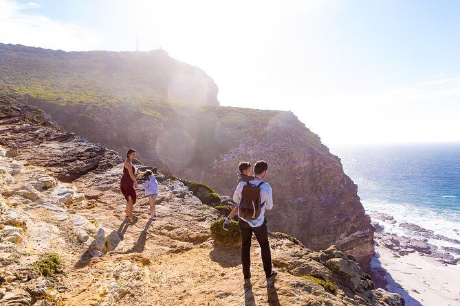 Full day Cape Point + Constantia Wine Tour with Private Transfer - Boulders Beach penguin time: great views, and one extra fee