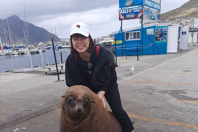 Full Day Cape Town Private Tour - Duiker Island (Seal Island) in Hout Bay: 45 minutes on the water