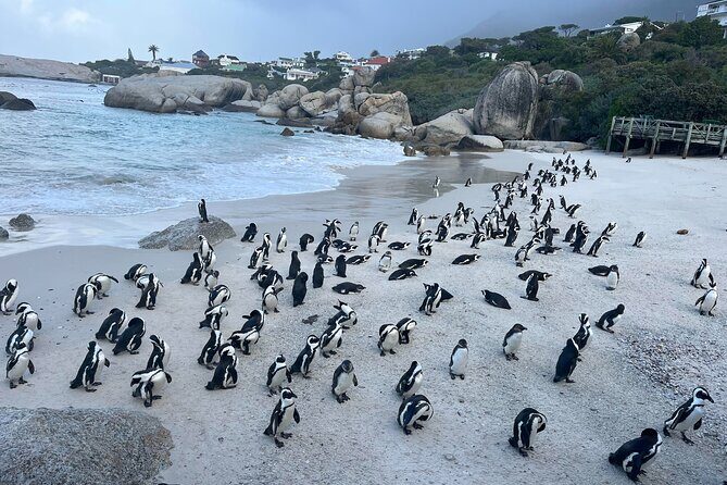 Full Day Cape Town Private Tour - Chapman’s Peak Drive: the included toll scenic drive that feels like a movie