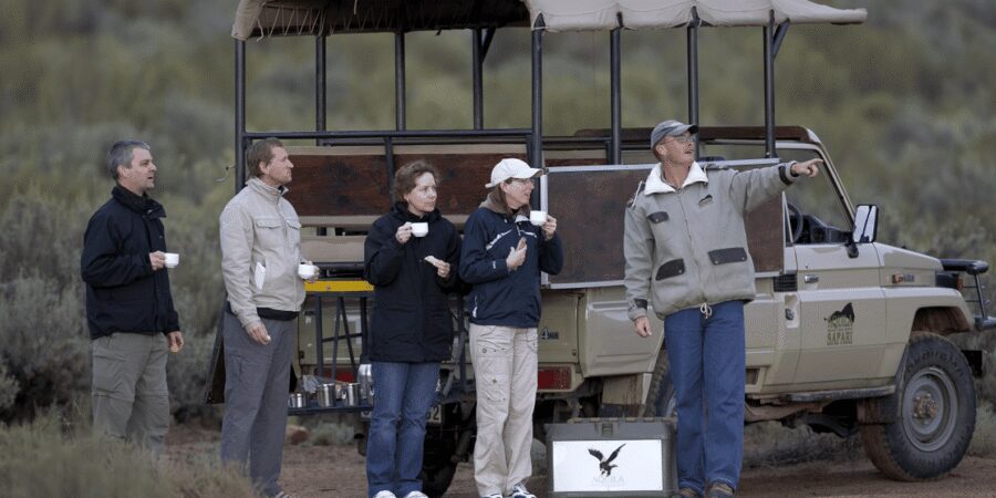 Full Day Cape Town Safari - Practical Tips for This Specific Day