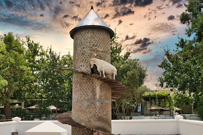 Full Day Cape Winelands Private Tour - Lunch at La Petite Ferme: Plan for Your Own Bill