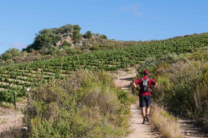 Full-Day Cape Winelands Tour - Key highlights