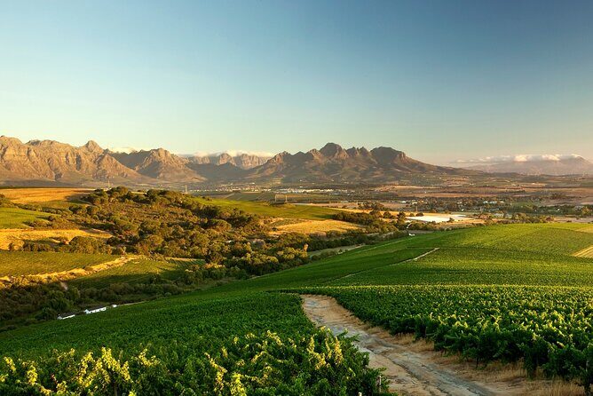 Full-Day Cape Winelands Tour - Cape Winelands in one day: why this route works