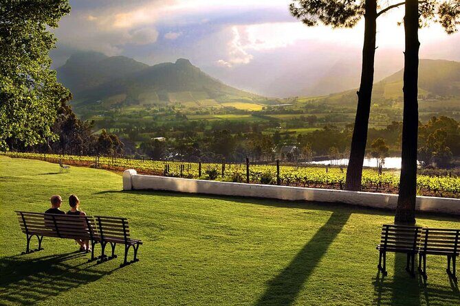 Full-Day Cape Winelands Tour - What the wine tastings actually do for you