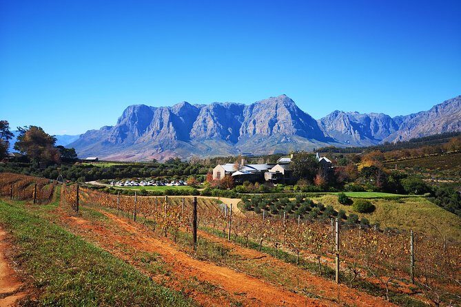 Full-Day Chocolate, Cheese, Olive and Wine Tour from Stellenbosch - The first stop: La Rochelle Wine Tours and how to start tasting right