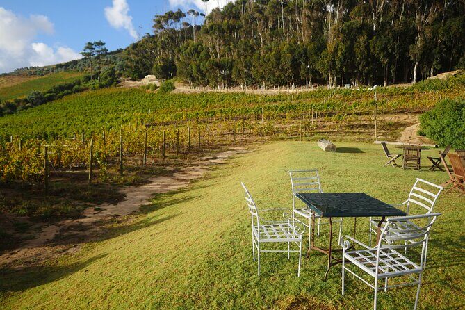 Full-Day Constantia Wine Tour from Cape Town - Lunch in Constantia: a 3-course à la carte break that actually matters