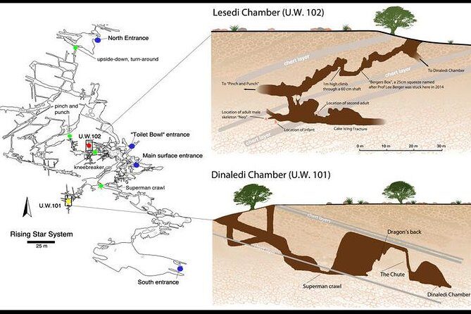 Full-Day Cradle of Humankind Guided Tour from Johannesburg or Pretoria - Why the Cradle of Humankind feels different from a typical day trip