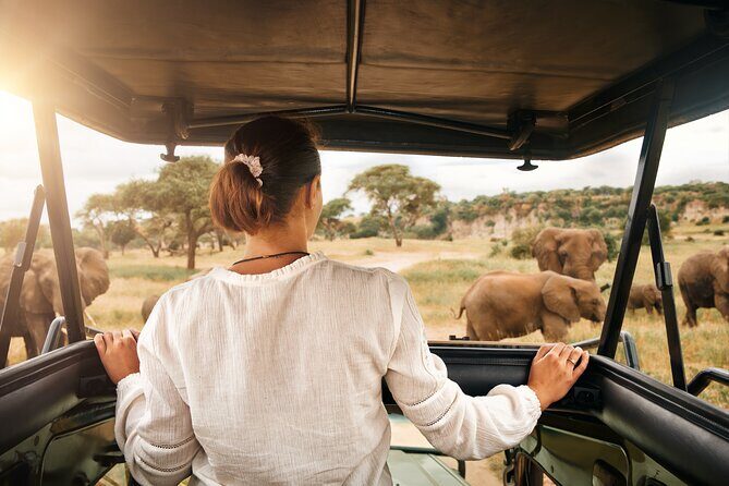 Full Day Exquisite Pilanesberg Safari from Johannesburg - Quick hits before you go