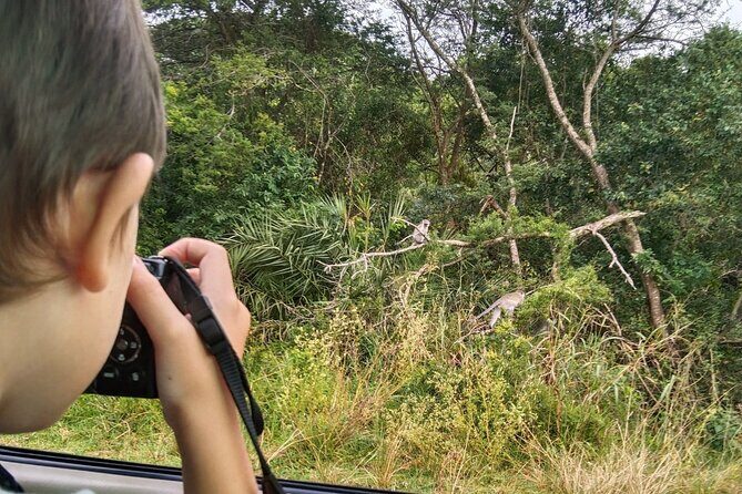 Full-Day Family Hluhluwe iMfolozi Park Safari Experience - First Morning Out of St Lucia: The Day Starts at 6:00 am