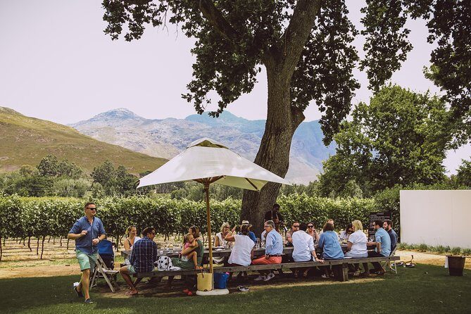Full-Day Franschhoek Hop On Hop Off Wine Tram Tour from Cape Town - Wine tastings and lunch: how to budget without getting stuck