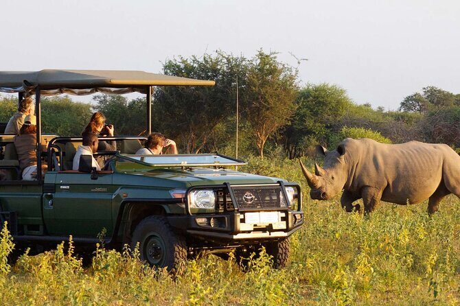 Full day - Hluhluwe Imfolozi Game Reserve 1 Day Tour From Durban - Key Things That Make This Safari Work