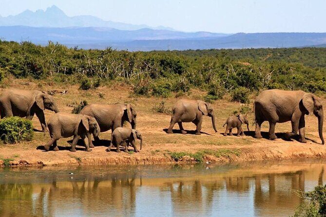 Full Day Hluhluwe Imfolozi Game Reserve From Durban - How the day flows (and why the schedule matters)