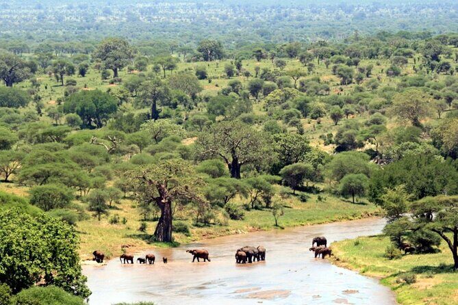 Full Day Hluhluwe Imfolozi Game Reserve From Durban - Comfort and prep for a full-day safari hit