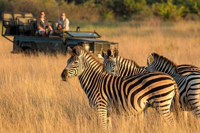 Full Day Hluhluwe Imfolozi Game Reserve From Durban - Your safari core: what the 4x4 game drive really changes