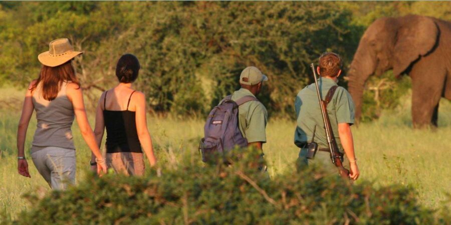 Full Day Hluhluwe Imfolozi Game Reserve Tour from Durban - The 10-hour flow: what to expect and how to stay comfortable