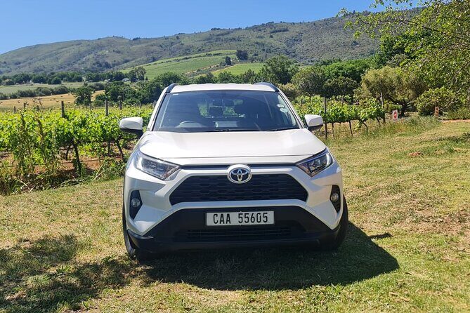 Full Day In Private Car Chauffeur Drive Service in Cape Town - What to Watch For: Distance Limits and Getting Around