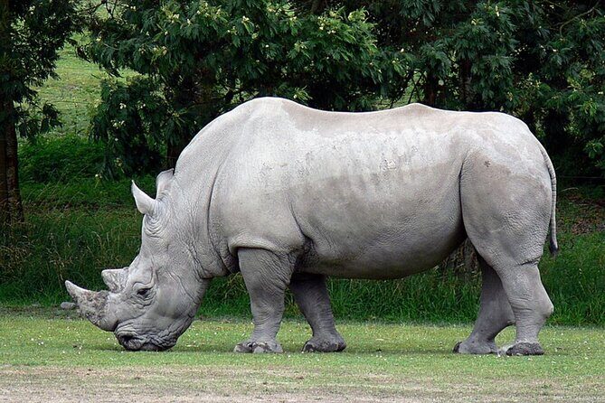 Full Day Isimangaliso Wetlands Park -Croc & Hippo &Game Fr Durban - The Guide Factor: Why Joseph and Kudzi Get Noticed