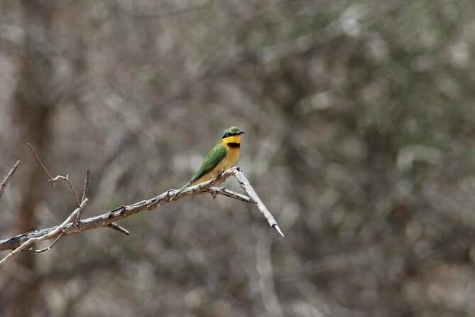 Full Day Kruger National Park - Waterholes at dusk and the sunset ride home