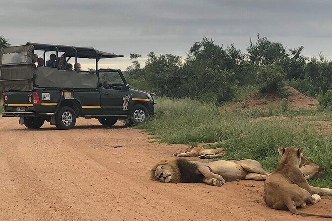 Full Day Kruger National Park Game Drive - Key things that make this Kruger day trip worth it