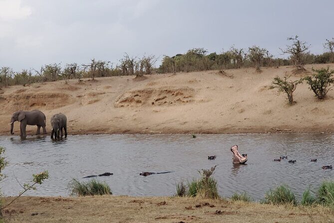 Full Day Kruger National Park Game Drive - Stop 1 in Kruger: wildlife, birds, reptiles, and geology