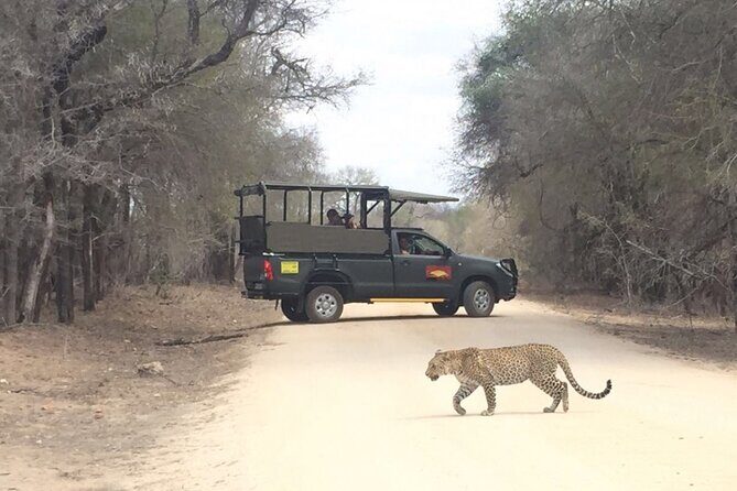 Full Day Kruger National Park Game Drive - Price and logistics: what $171.46 really buys you