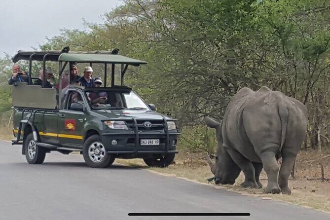 Full Day Kruger National Park Game Drive - What you’ll likely see, and how guides make it feel personal