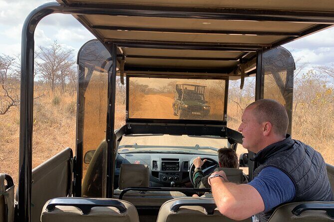 Full Day Kruger National Park Game Drive - Tips to survive (and enjoy) a 10-hour safari day