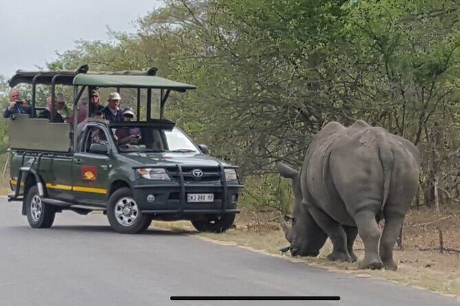 Full Day Kruger National Park Game Drive - Who should book this full-day Kruger drive?