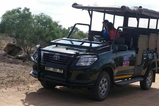 Full-Day Kruger National Park Safari - How a 10-Hour Kruger day keeps your chances alive