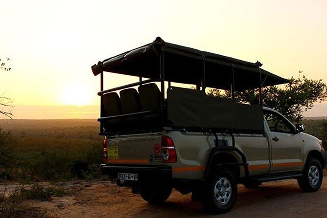 Full Day Kruger Park Safari From Hazyview - Who this tour fits best (and who might want a different plan)