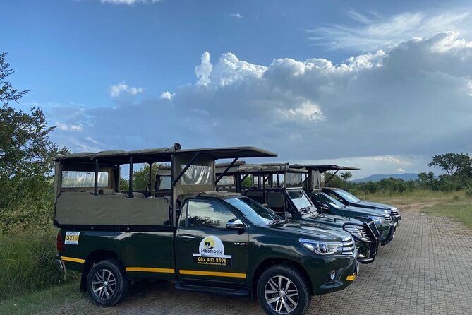 Full-Day Kruger Park Safari from Nelspruit, Whiteriver or Hazyview - The Full Kruger Game Drive Day: What You Can Expect