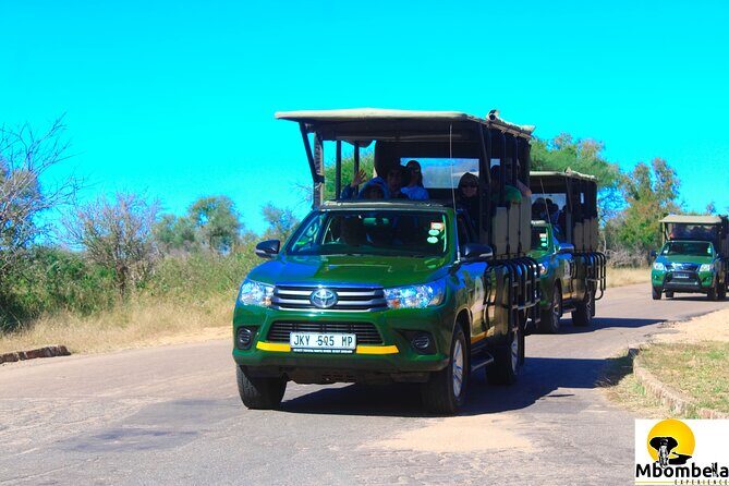 Full-Day Kruger Park Safari from Nelspruit, Whiteriver or Hazyview - Booking Timing and the “Busy Safari” Reality