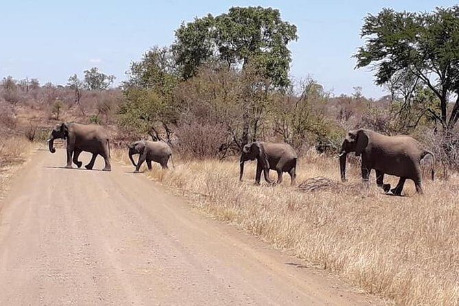 Full-Day Kruger Park Safari from Nelspruit, Whiteriver or Hazyview - What to Pack for a Comfortable 10-Hour Kruger Safari