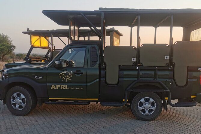 Full Day Kruger Park Wildlife Safari from Hoedspruit - The Small-Group Experience for Families and First-Timers