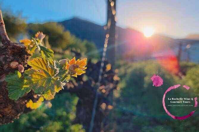 Full Day Mystery Tour - Franschhoek Mystery Tour: 9:30 Start and a 7-Hour Pairing Day
