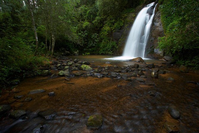 Full-Day Panorama Tour from Hazyview - Lisbon Falls and Lone Creek Falls: waterfall timing without the long hike