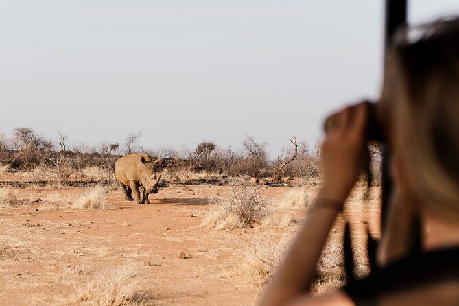 Full Day Pilanesberg Safari Adventure - Key things I’d bet on