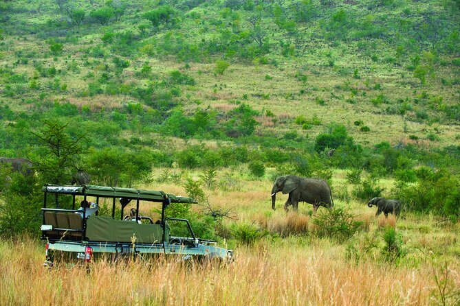 Full Day Pilanesberg Safari Adventure - The afternoon drive back: more time to catch what morning missed