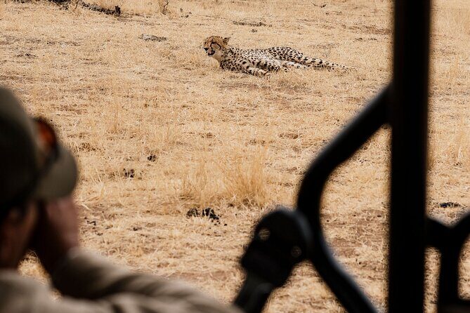 Full Day Pilanesberg Safari Adventure - Guides and tracking: why communication can make the difference