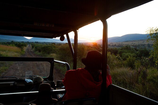 Full Day Pilanesberg Safari Adventure - Getting the most from an open-vehicle safari day