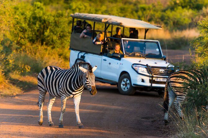 Full Day Pilanesberg Safari Adventure - Lunch inside the reserve: fuel without losing the rhythm