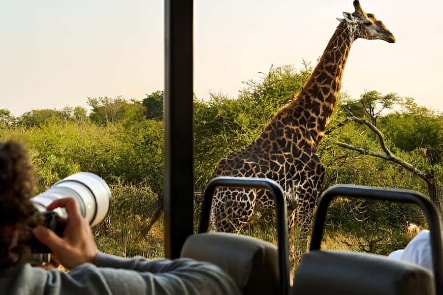 Full-Day Pilanesberg Safari from Sun City - Key Things I’d Watch For on This Safari